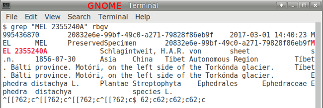 gnome-terminal