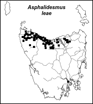 asplea