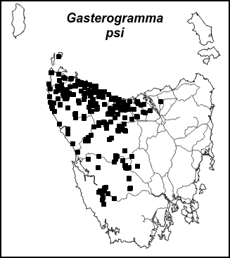 gaspsi