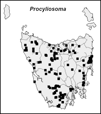 procyliosoma