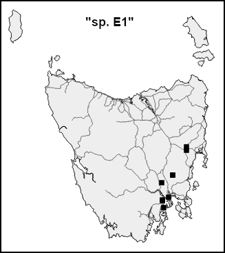 spE1