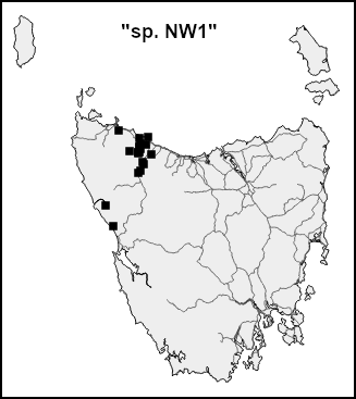 spNW1
