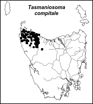 tascom