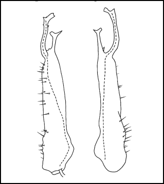 aspgol