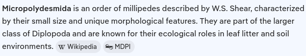 AI slop